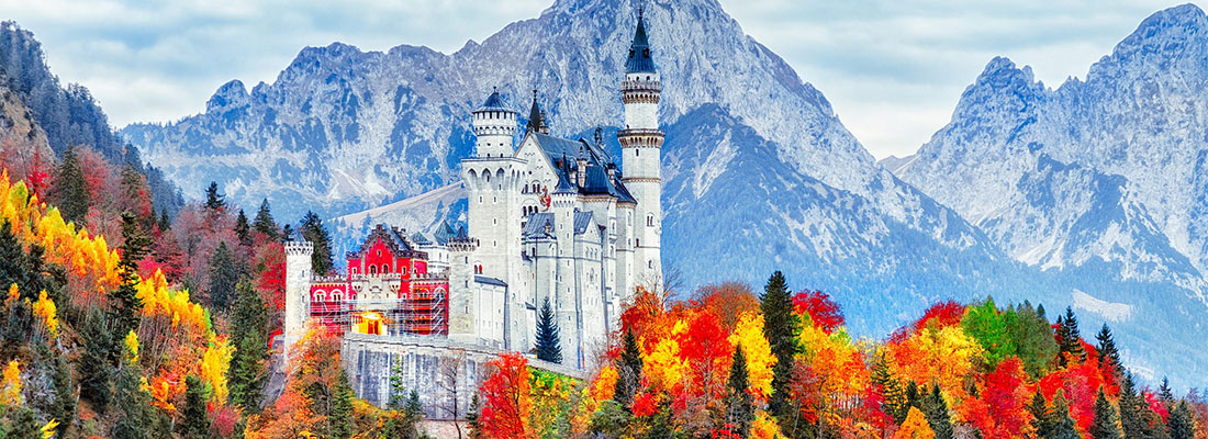 ویزای استارت آپ آلمان 2 انواع ویزای استارت آپ آلمان