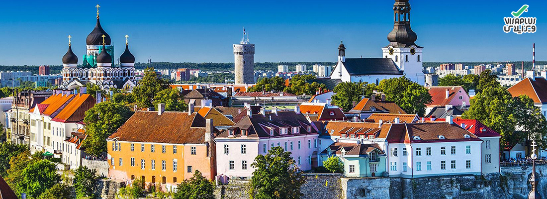 ویزای استارت آپ استونی