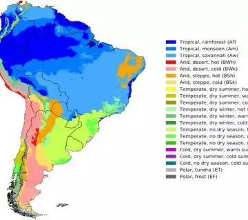 قاره امریکا